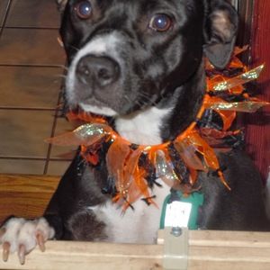 Meet your Posher, Jen